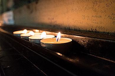 《日式庭园模拟器》steam页面上线 学习打造精致庭院